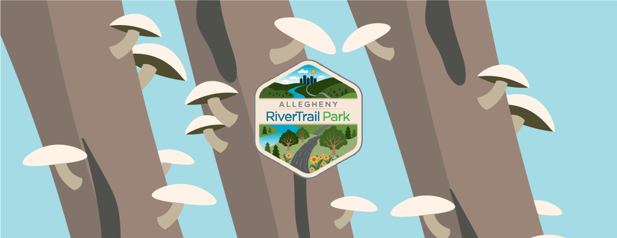 Mushroom Cultivation Workshop 2026